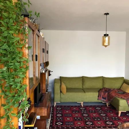 Midcentury Modern 1 Bedroom In