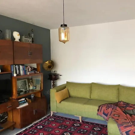Apartment Midcentury Modern 1 Bedroom In *