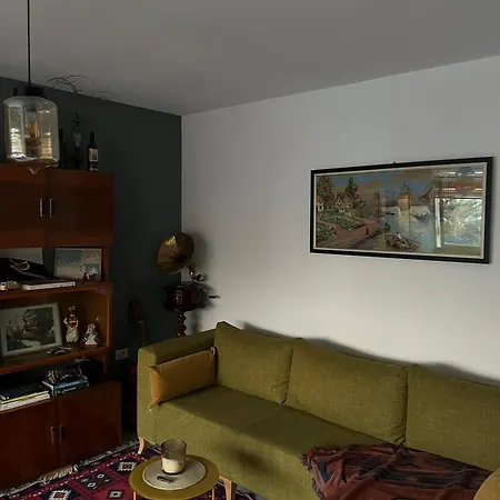 Midcentury Modern 1 Bedroom In