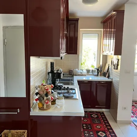 Midcentury Modern 1 Bedroom In Tirana