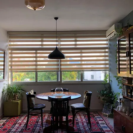 Midcentury Modern 1 Bedroom In