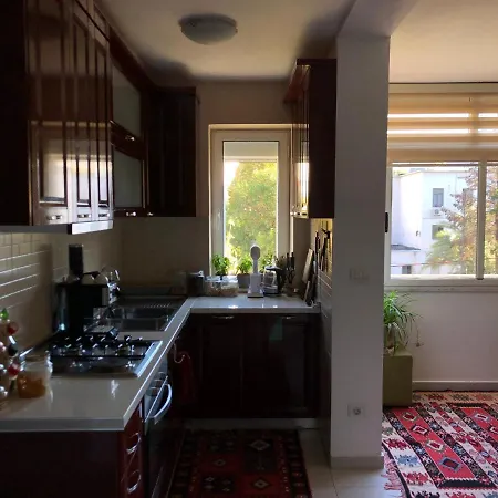Appartement Midcentury Modern 1 Bedroom In Tirana
