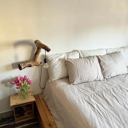 Midcentury Modern 1 Bedroom In Daire