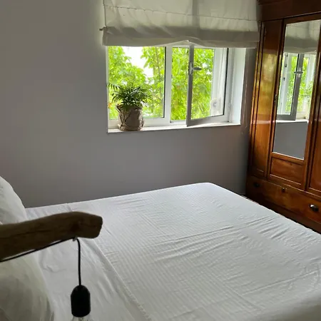 Midcentury Modern 1 Bedroom In Daire Tiran